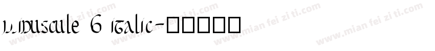 Minuscule 6 Italic字体转换